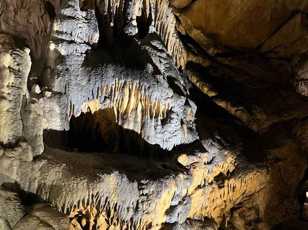 Grottes d'Osselle-Roset-Fluans必去景点