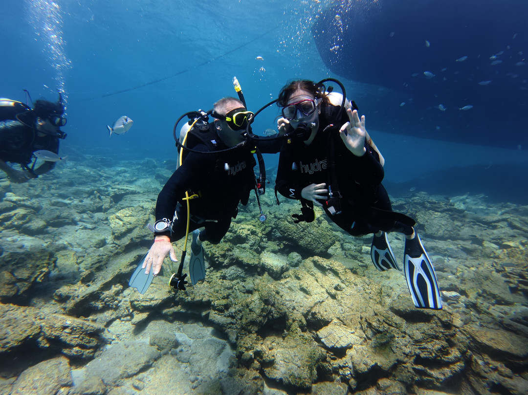Happy Bubbles Diving Center-居姆贝特必去景点