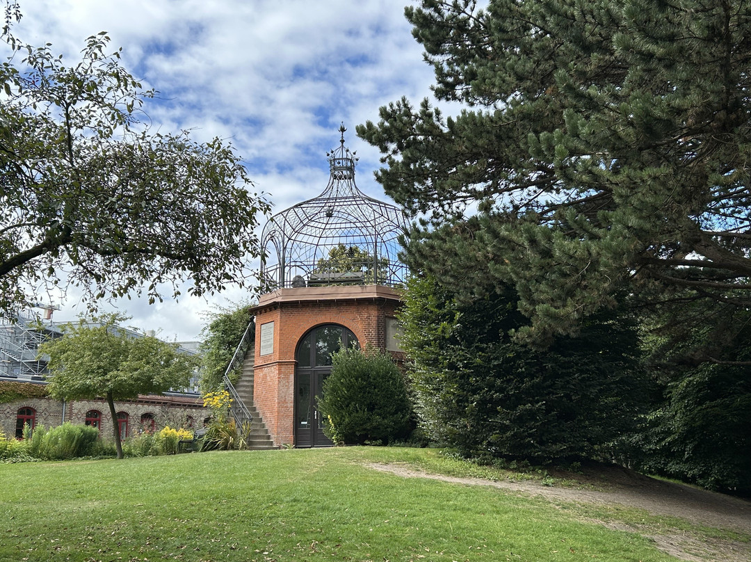 Alter Botanischer Garten-基尔必去景点