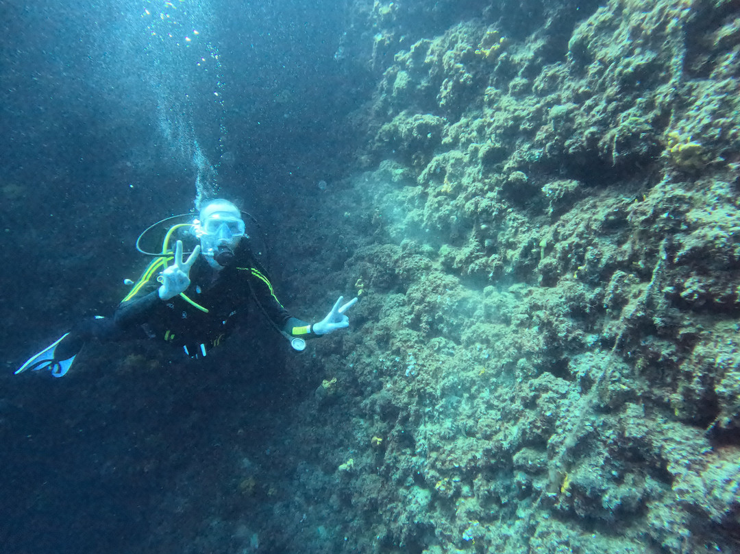 Triton Scuba Diving Centre Halkidiki-Paliouri必去景点
