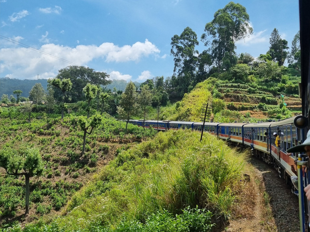 Amarina Holidays-阿努拉德普勒圣城必去景点