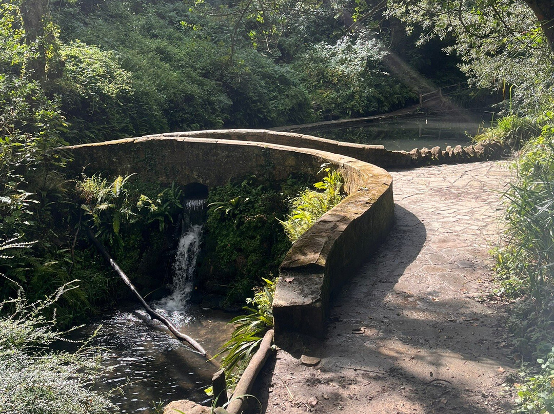 Ninesprings Country Park-约维尔必去景点