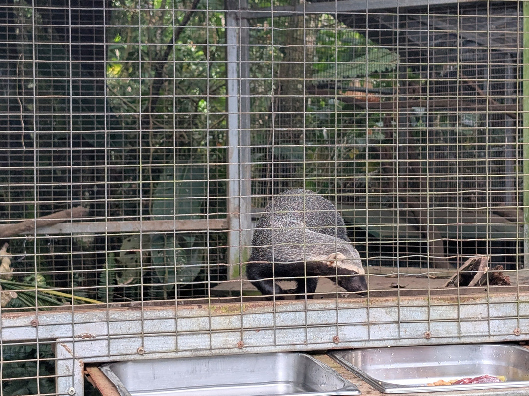 Toucan Rescue Ranch-San Isidro必去景点