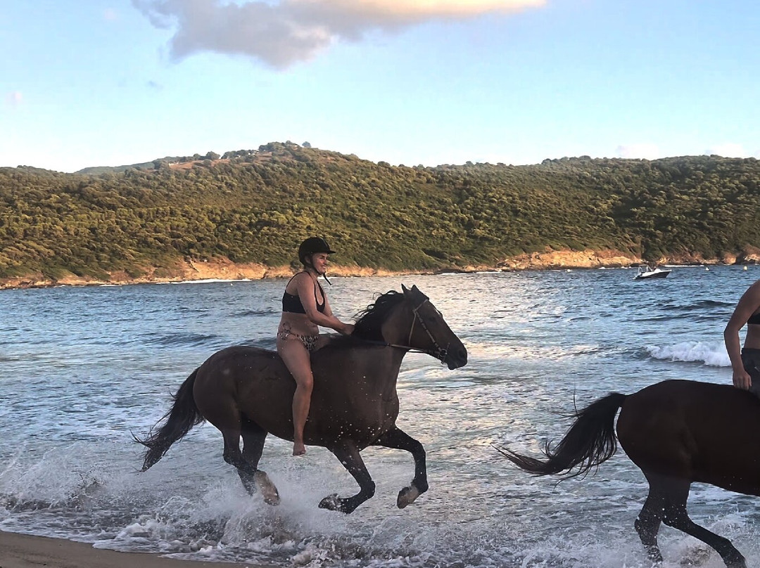 Ranch Cargese-Cargese必去景点