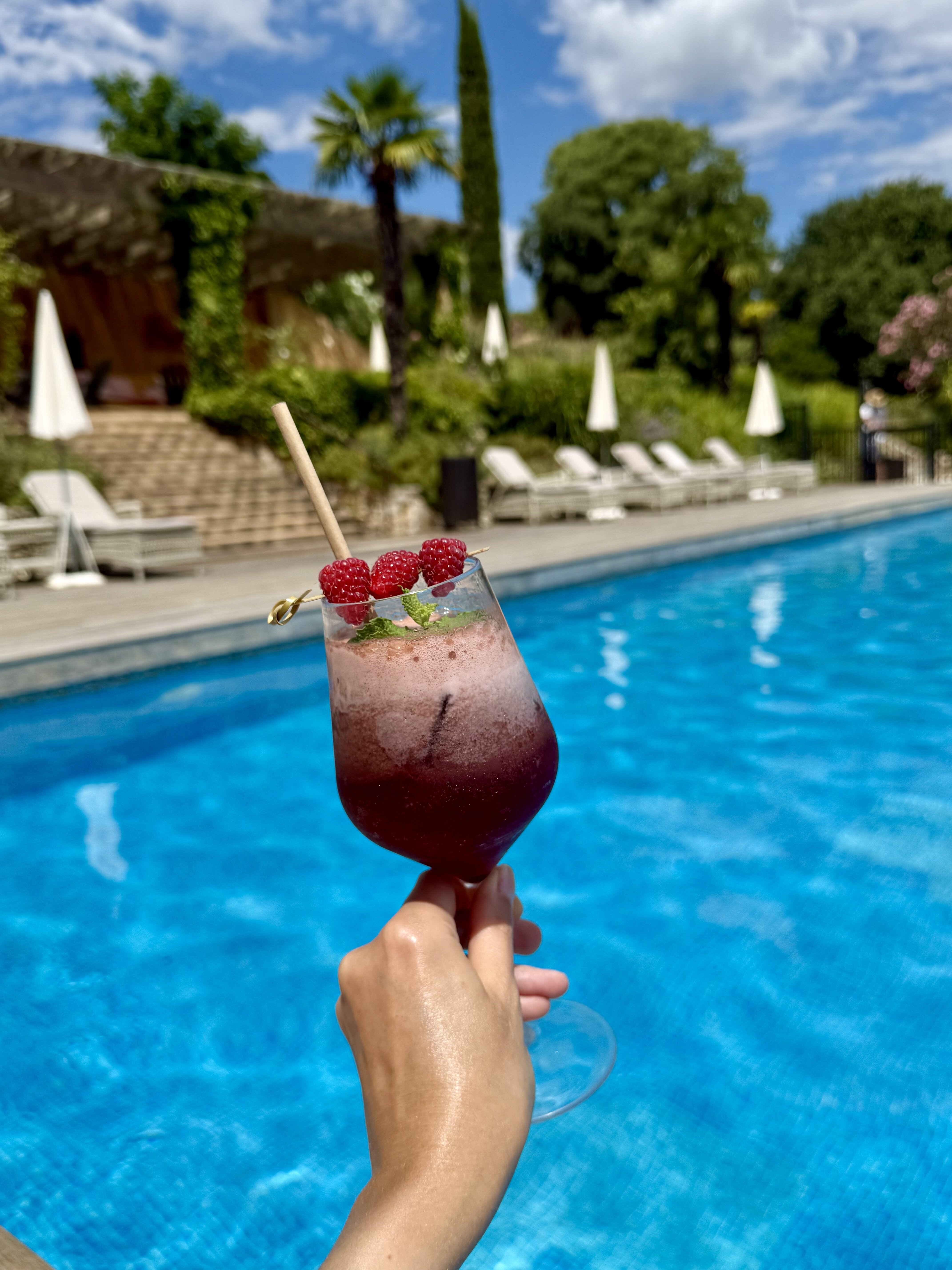 伯尔尼别墅酒店-泳池