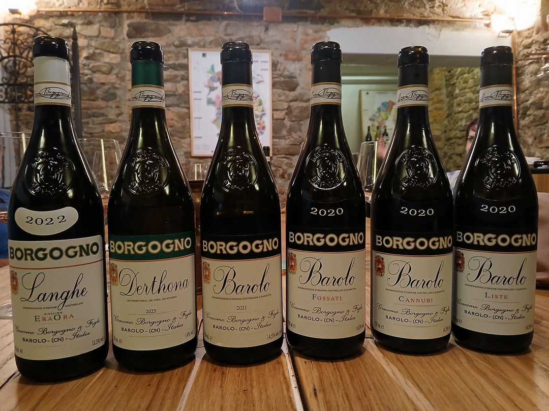 Cantina Giacomo Borgogno e Figli-巴罗洛必去景点