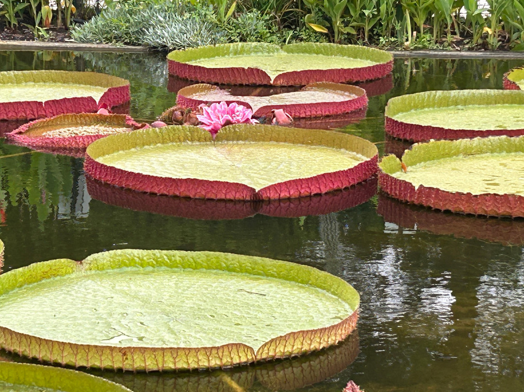 L'Arboretum-卡内鲁西永必去景点