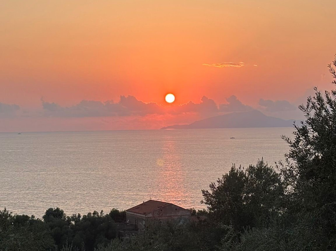 Hotel Villa Pina主图