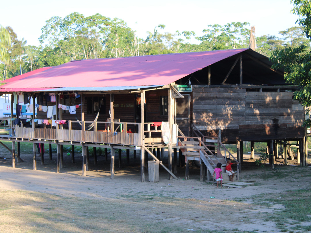 Expeditions George of the Jungle-莱蒂西亚必去景点