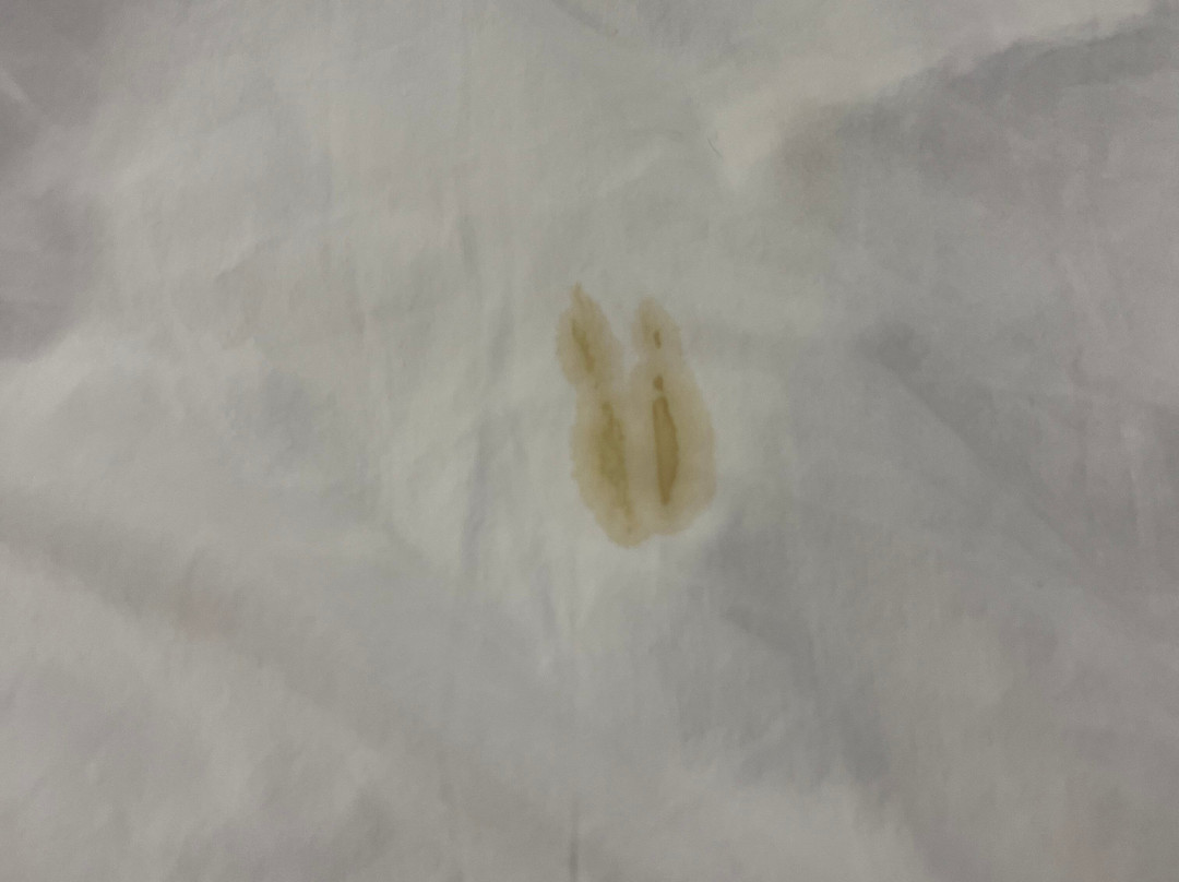 Pear Tree Inn Cape Girardeau Near the Medical Center主图