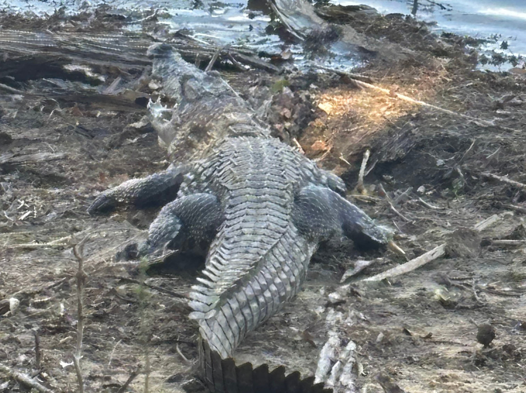 LK Tour Lanka-科伦坡必去景点