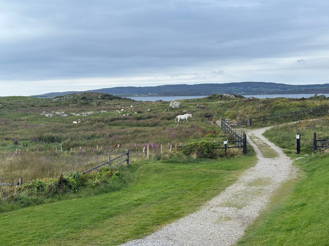 Connemara Sands Beach Hotel & Spa主图
