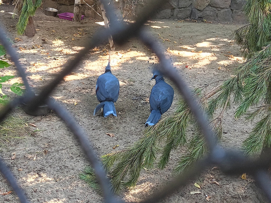 Novosibirsk Zoo-新西伯利亚必去景点
