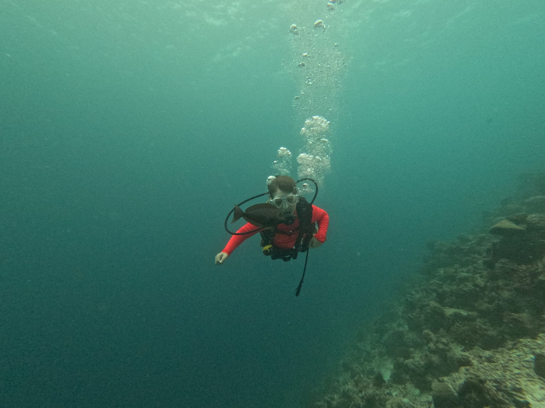 Dive Club Furaveri-Furaveri必去景点