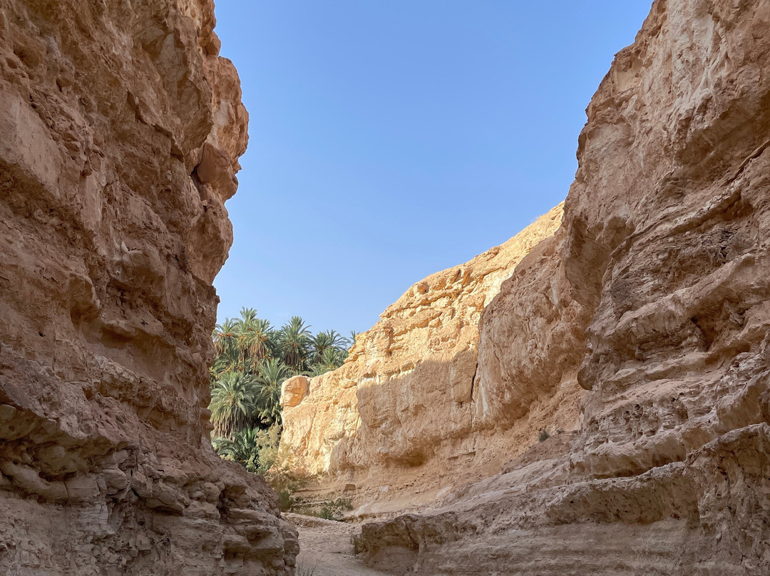 Autre Tunisie Day Tours-Houmt Souk必去景点