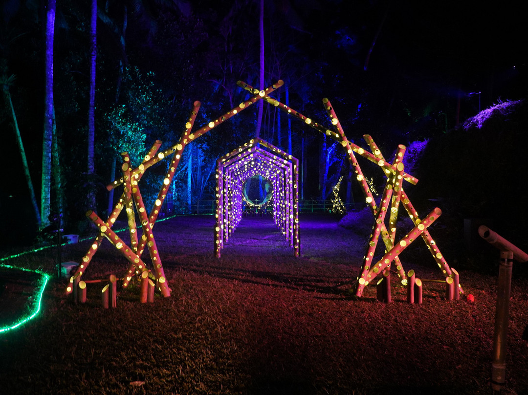 Hikaria: Bali's First Immersive Night Walk-Tegallalang必去景点