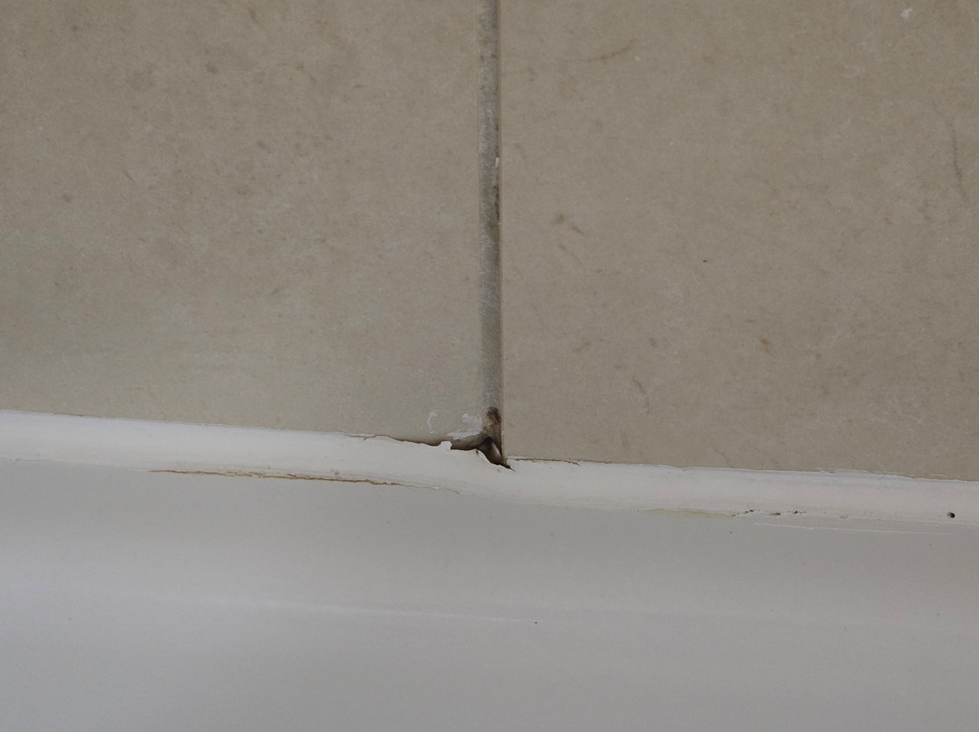 Wingate by Wyndham Southport主图