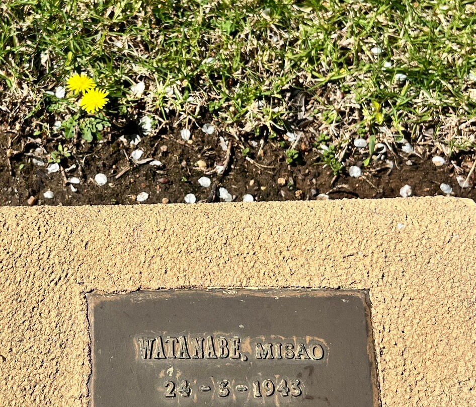 Japanese War Cemetery-考兰必去景点