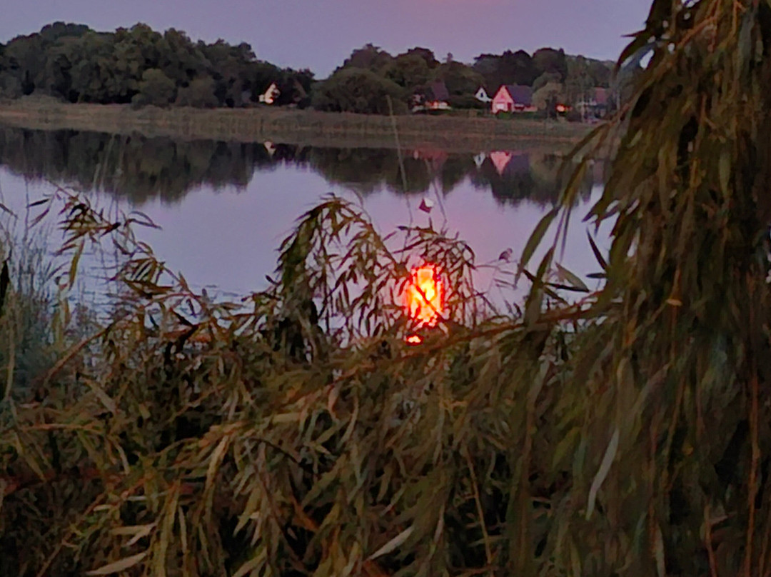 Seehotel Bollmannsruh主图