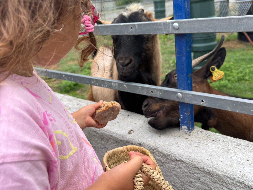 Quinta Pedagógica Quinta das Manas-吉马良斯必去景点