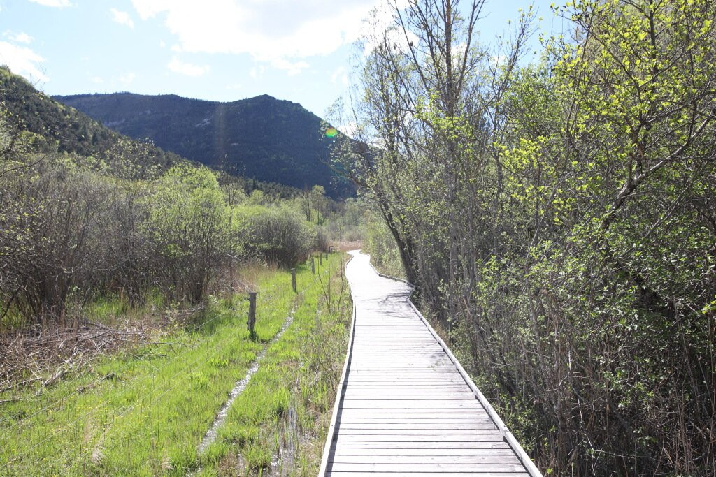 Marais Des Bouligons-Luc-en-Diois必去景点