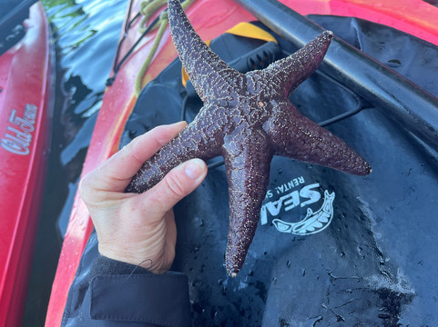 Southeast Exposure Outdoor Adventure Center-凯奇坎必去景点