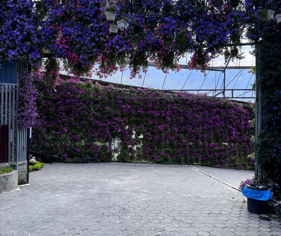 Cameron Highlands Flora Park-碧兰璋必去景点