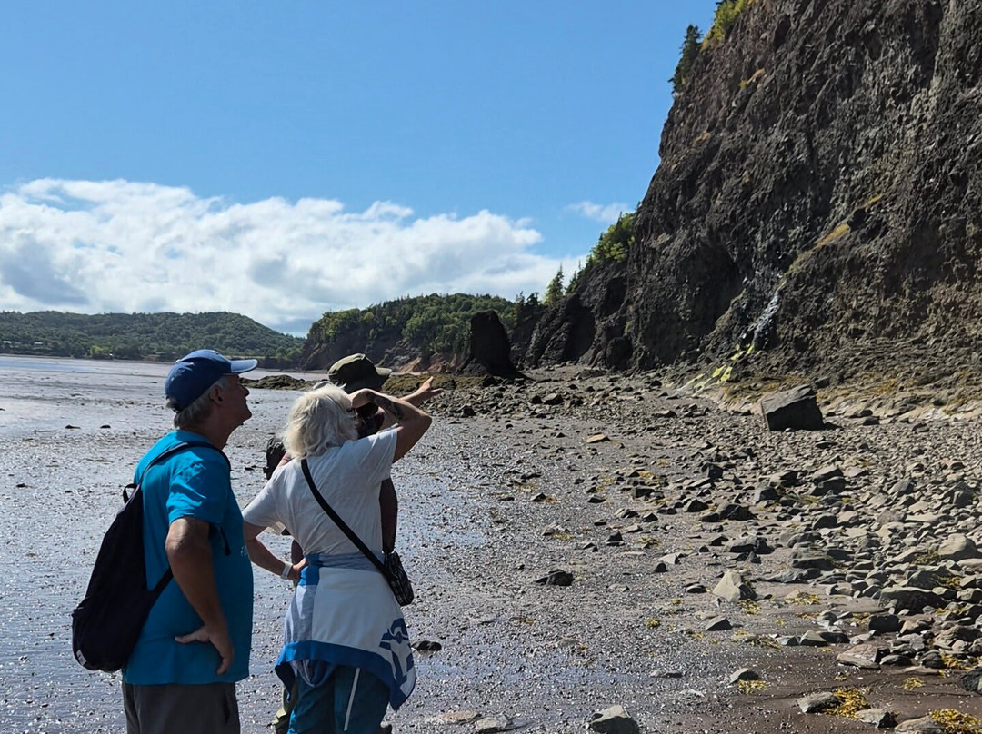 Fundy Treasure Tours-Joggins必去景点