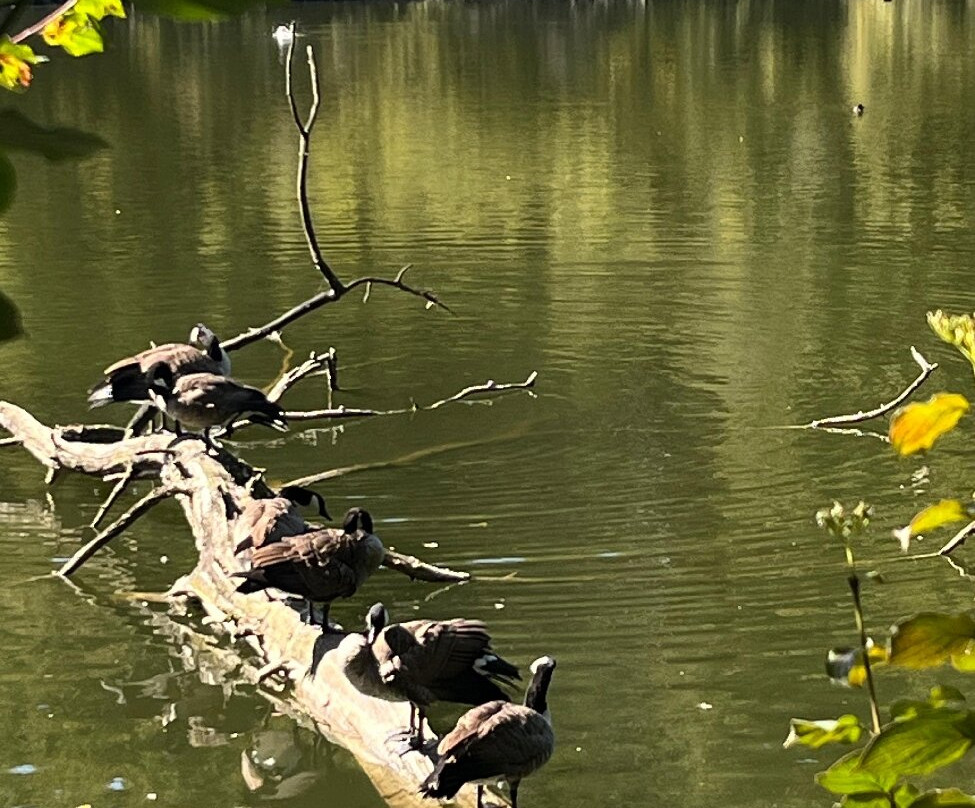 Abbaye du Rouge Cloitre-奥德尔赫姆必去景点