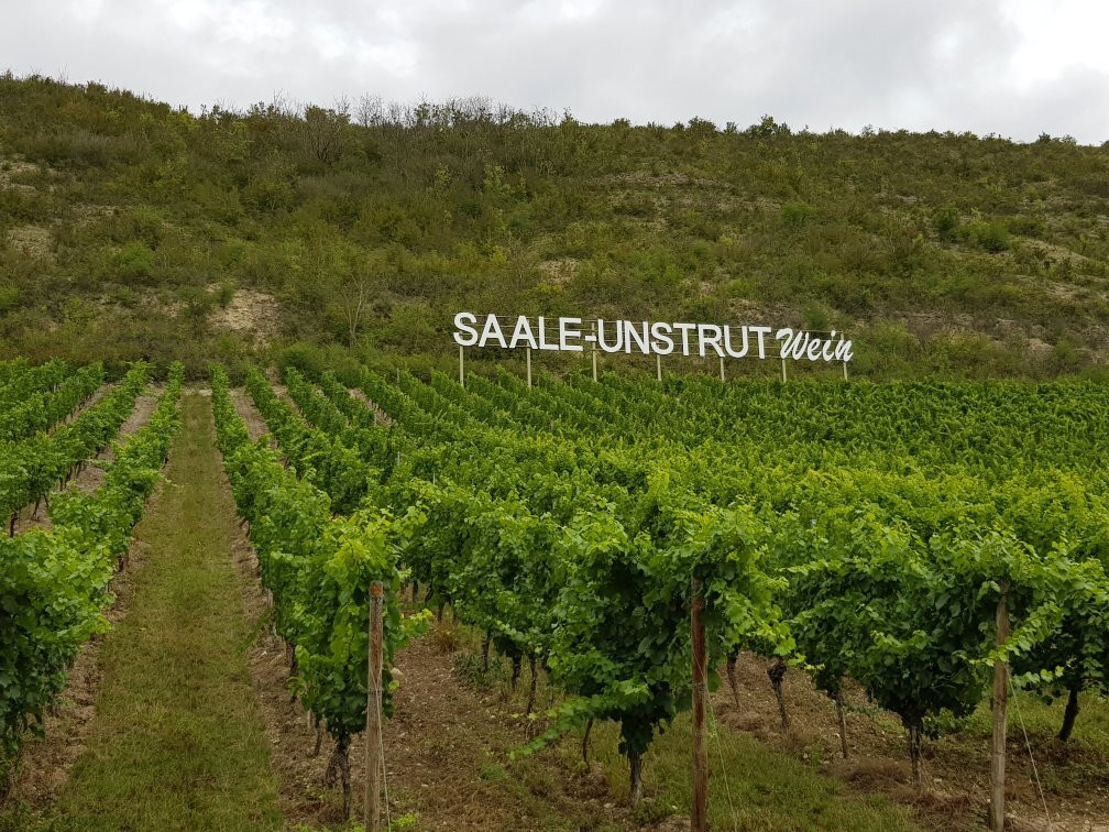 Weingut Hey