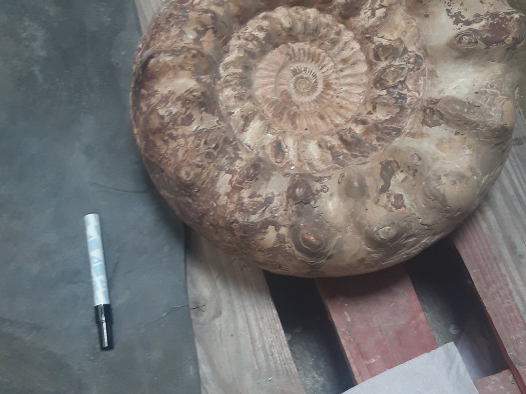 Hotel Spa Thermalia主图