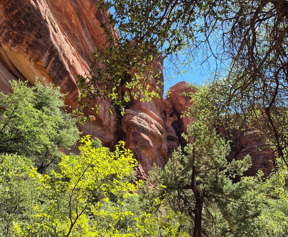 Palatki Heritage Site-塞多纳必去景点