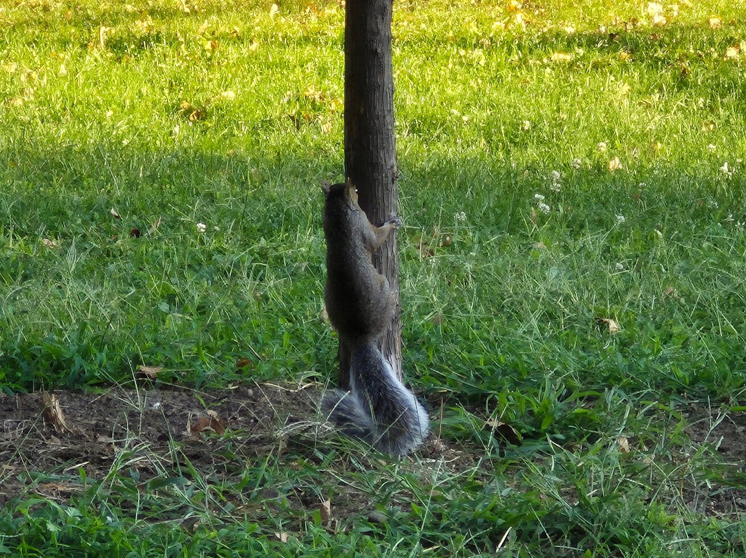 Queensbridge Park-Queens Village必去景点