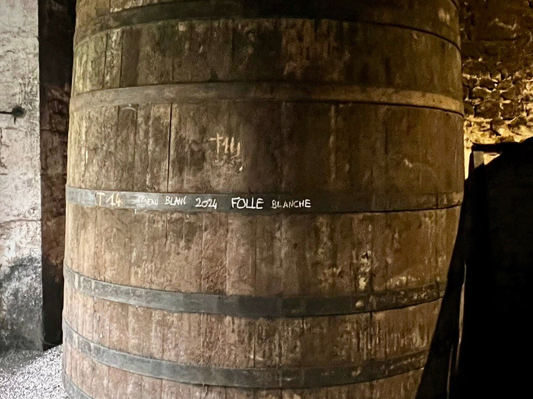 Le Domaine Du Chêne-Saint Palais de Phiolin必去景点