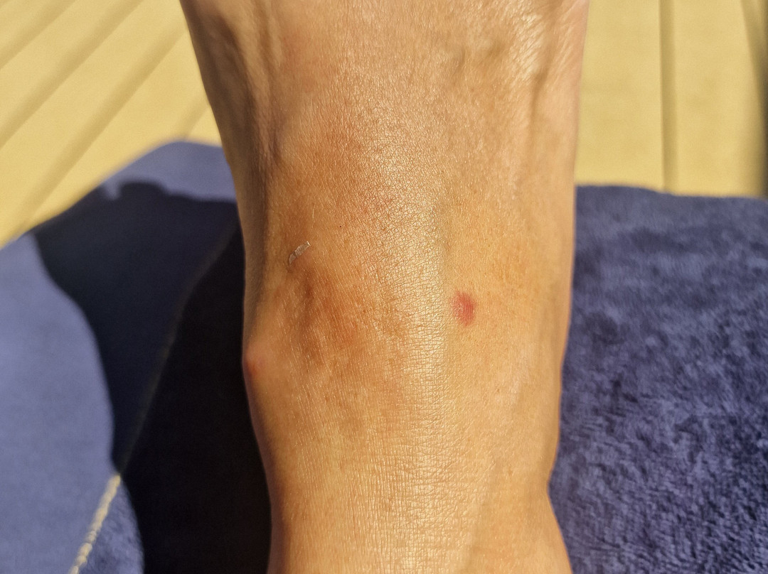 Best Western Hotel Green City主图