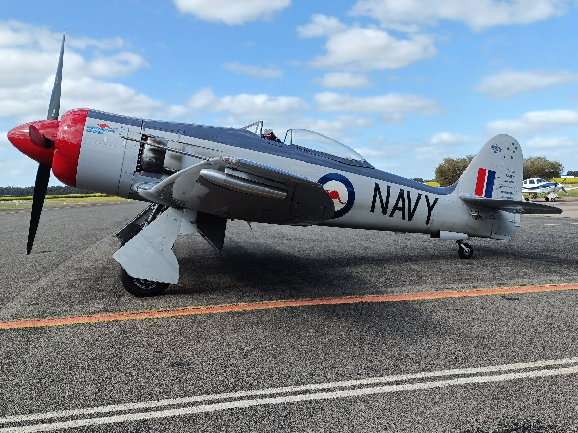 Bridge Motor Inn-官方