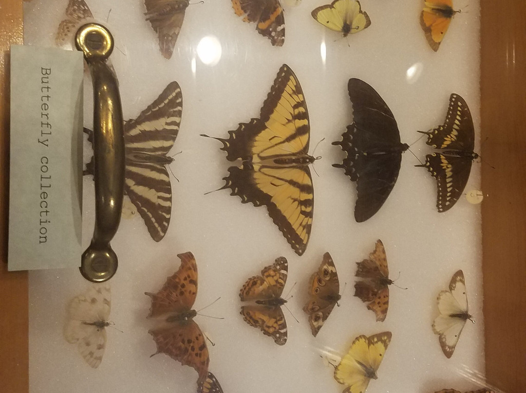 西弗吉尼亚州博物馆-查尔斯顿必去景点