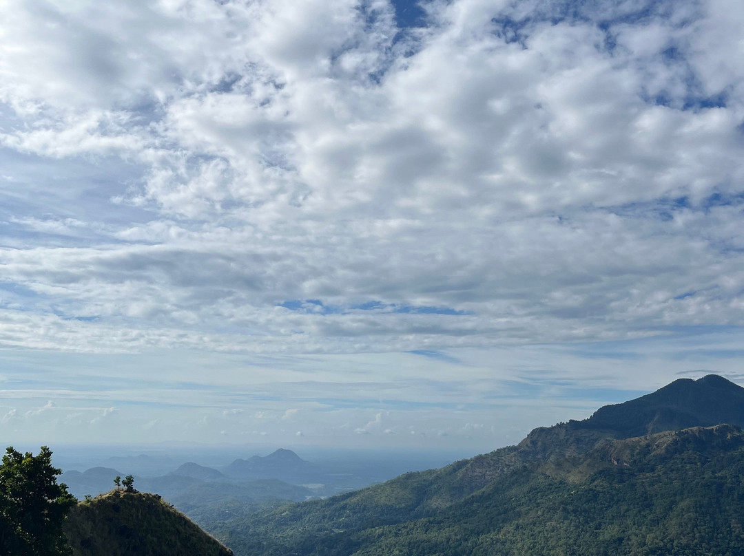 Monkey Tours Sri Lanka-加勒必去景点