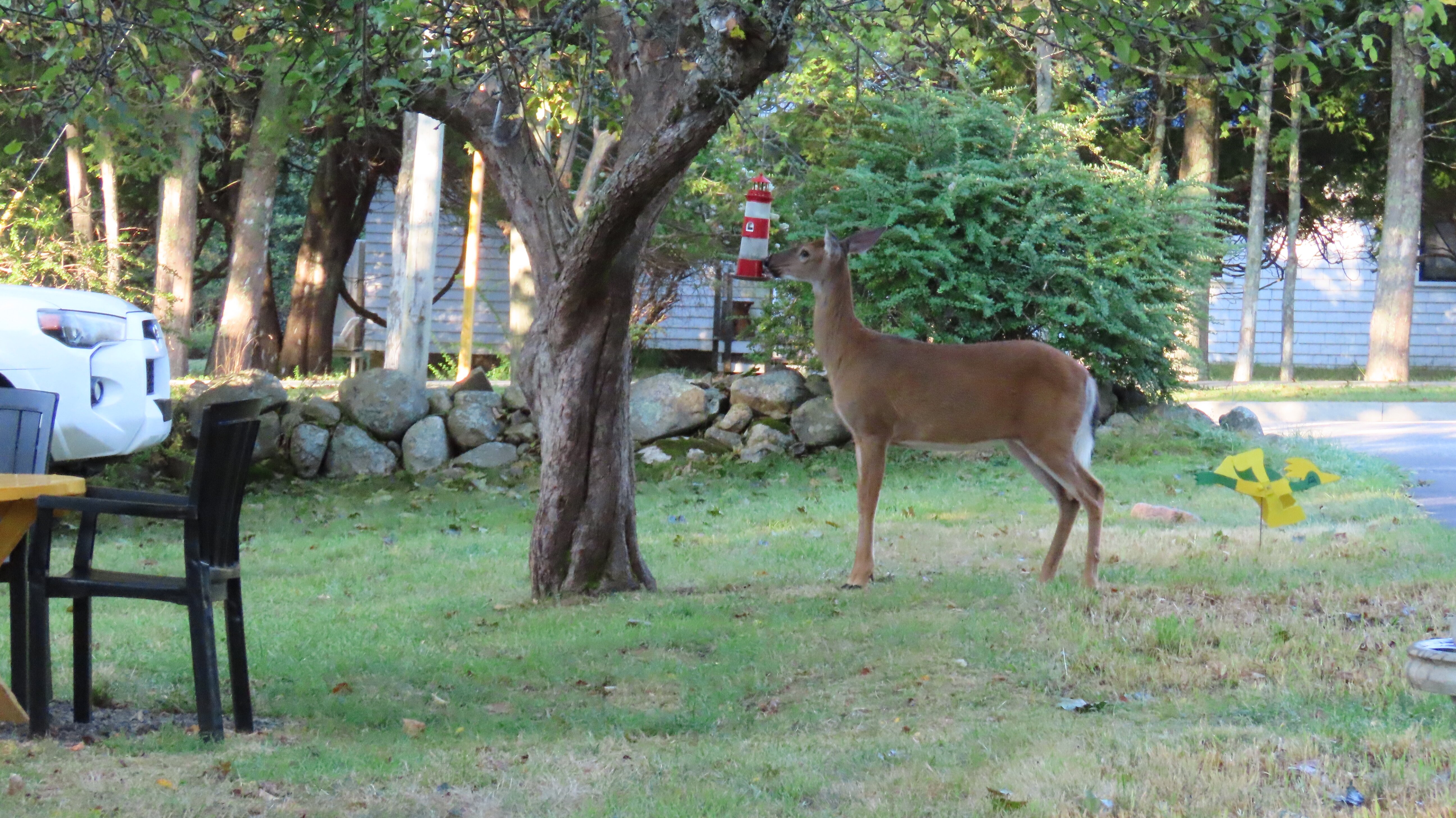 Picket Fence Motel-浴室