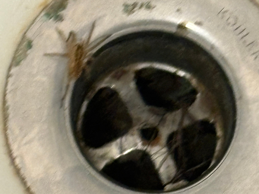 Quality Inn-Tucumcari主图