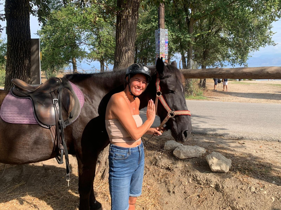 Katreena Horse Riding Corfu in Roda
