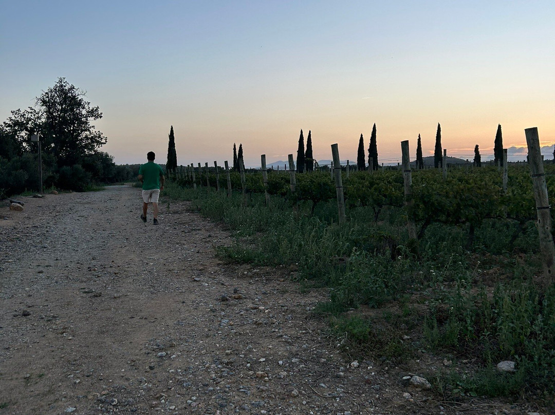 La Vinyeta-Mollet de Peralada必去景点