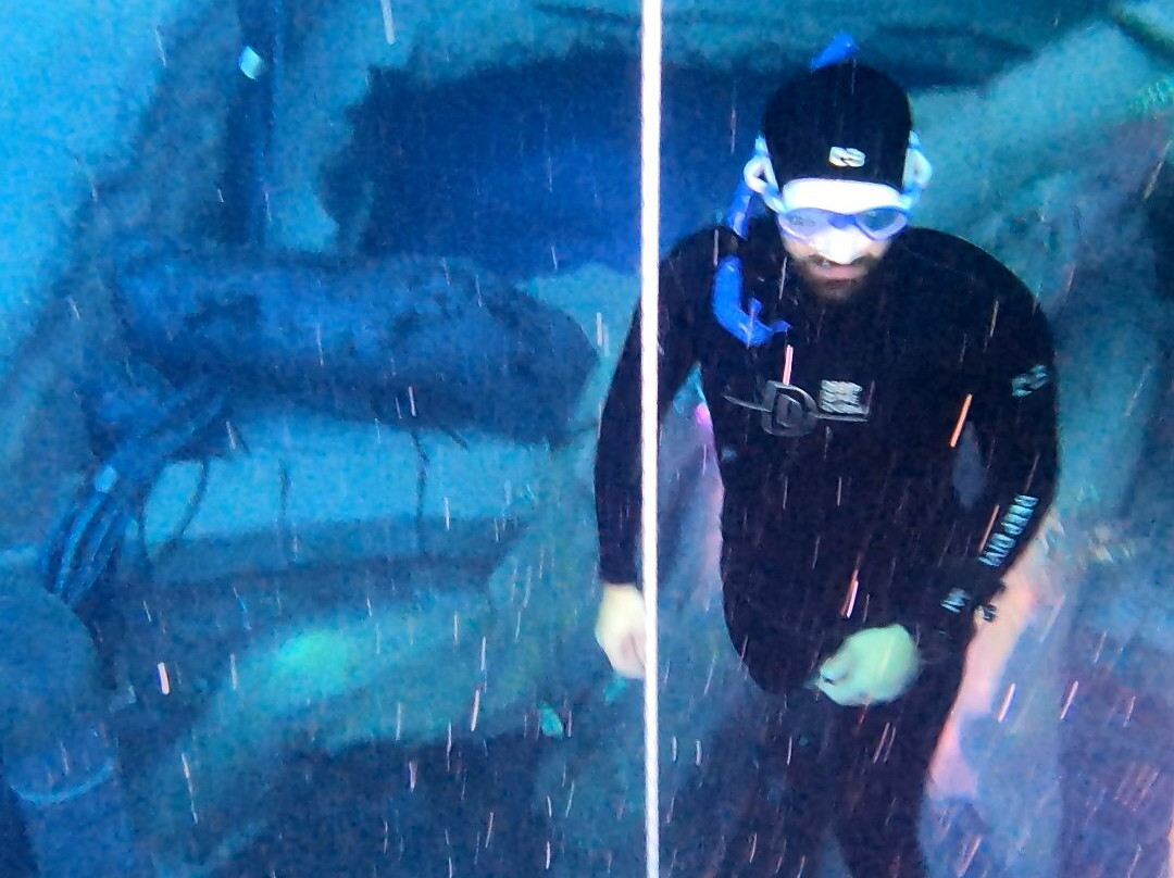 Deep Dive Dubai-迪拜必去景点