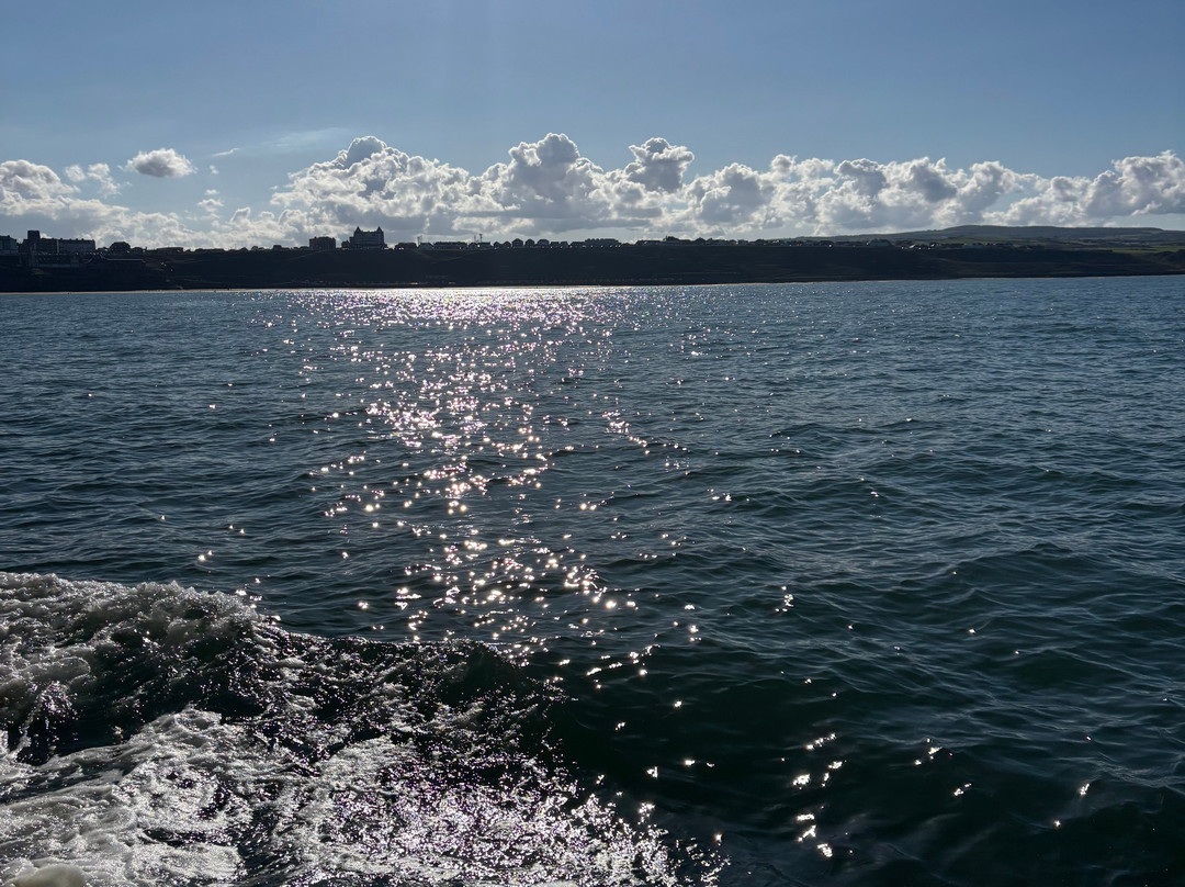 Esk Belle II Coastal Cruises-惠特比必去景点