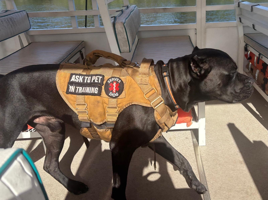 St. John's River Eco Tours, LLC-DeBary必去景点