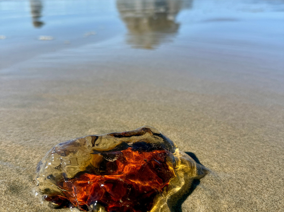 海洋山林小屋主图