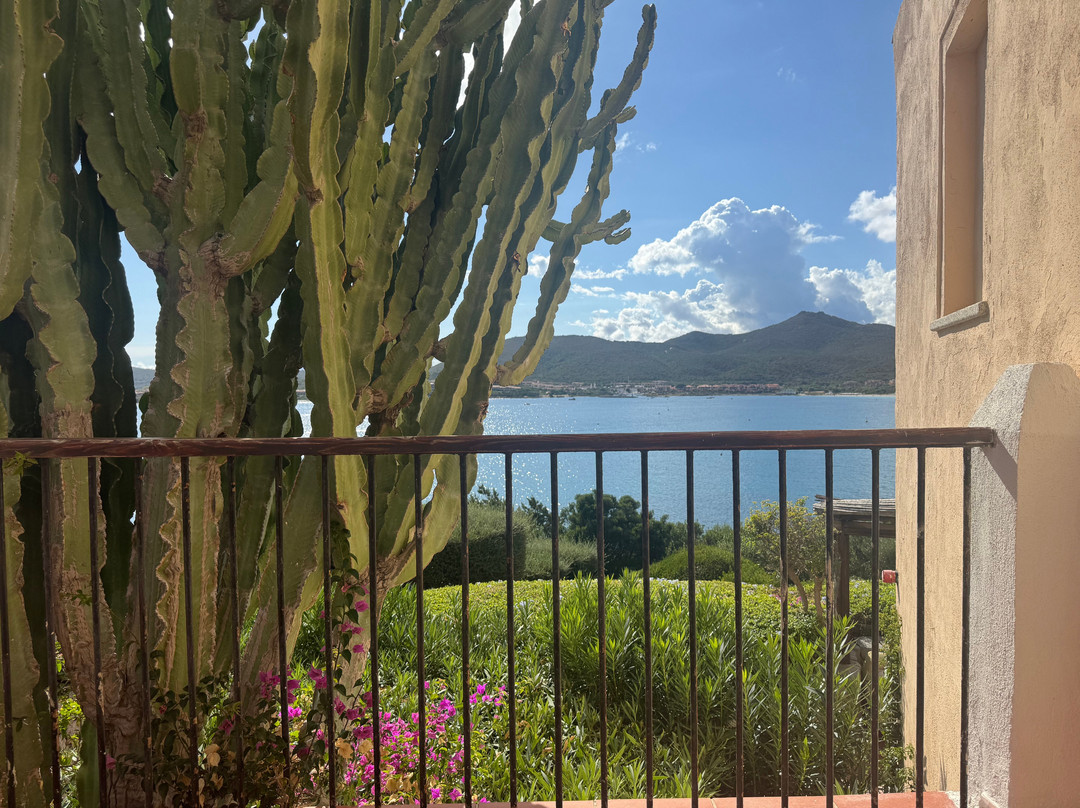 多米纳之家帕露巴尔萨酒店主图