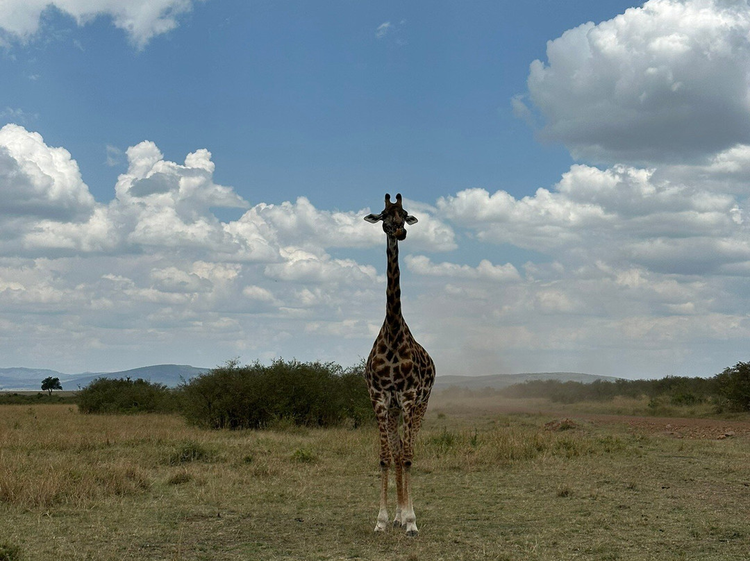 Safaris By Jon-坎帕拉必去景点