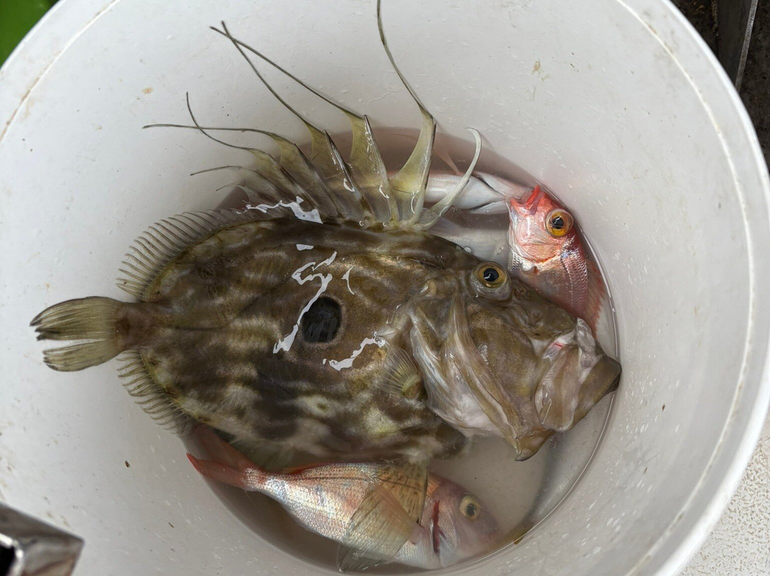 Mitsos Fishing Trips-Petra必去景点