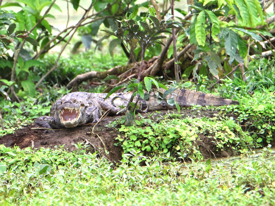 REGUA - Reserva Ecológica de Guapiaçu-Cachoeiras de Macacu必去景点